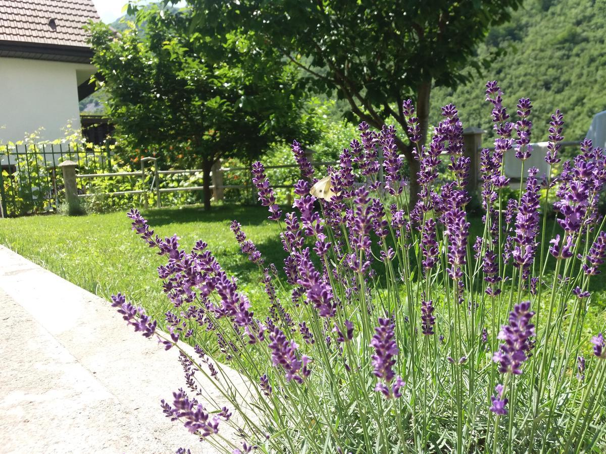 Kuca Lavanda Dreznjak Exterior photo